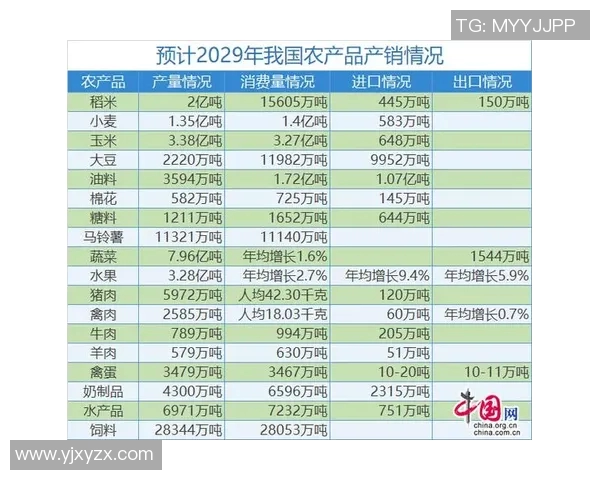 上海篮球队实力分析与未来发展展望探讨