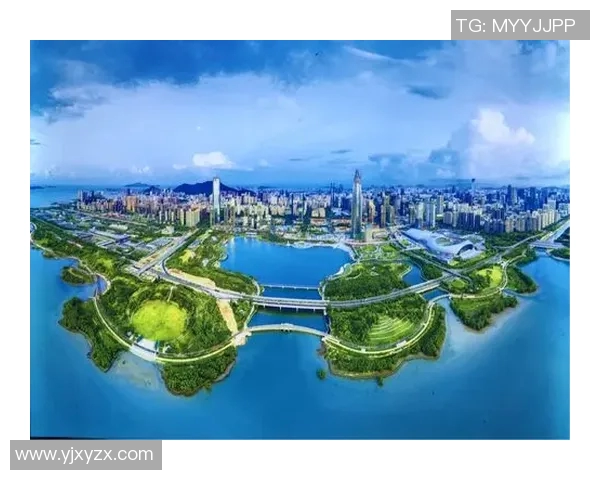 深圳篮球队的崛起之路：从意识到实力的全景探索