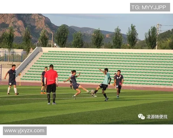 足球明星自传：从绿茵场到人生舞台的真实故事与心路历程